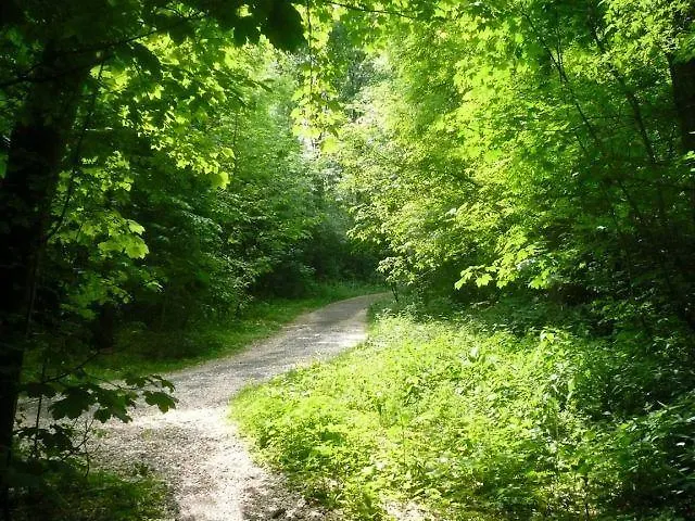 Houseboat Vliegenbos
