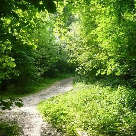 Houseboat Vliegenbos